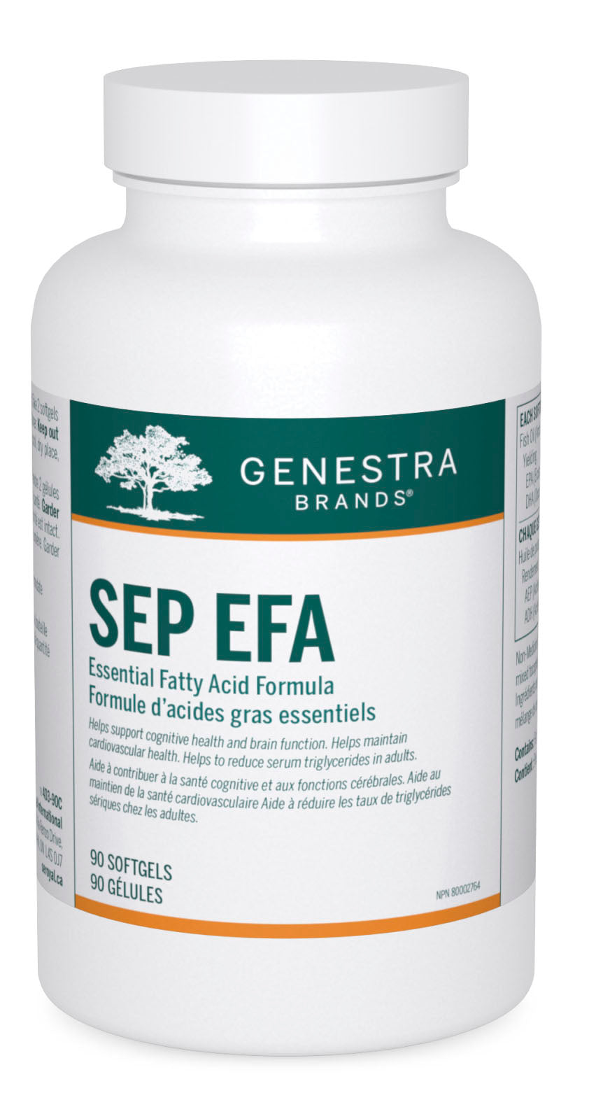 GENESTRA SEP EFA (90 sgels)