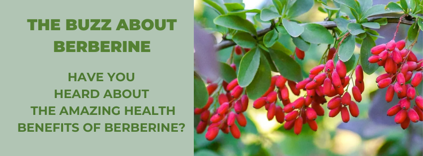 PM- SHOP BERBERINE SUPPLEMENTS