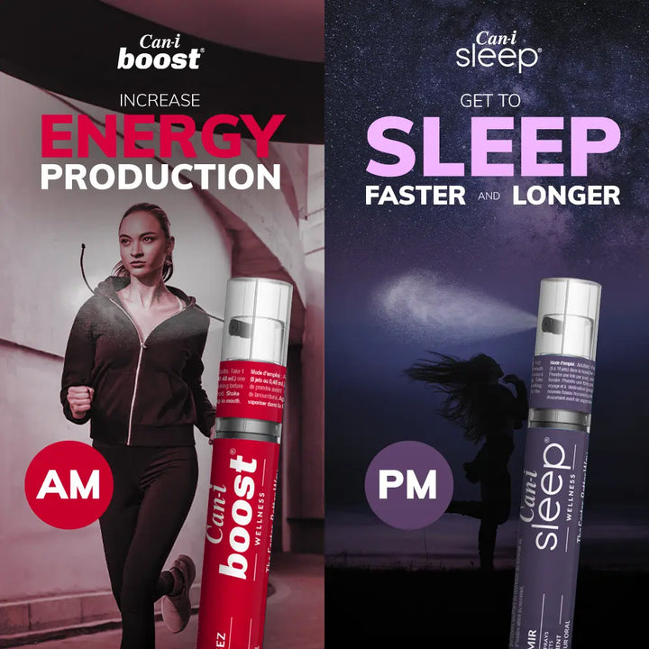 AM / PM Bundle