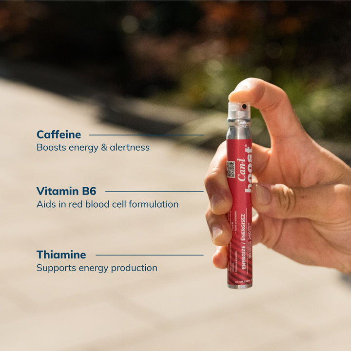 Can-i Boost 6-Pack