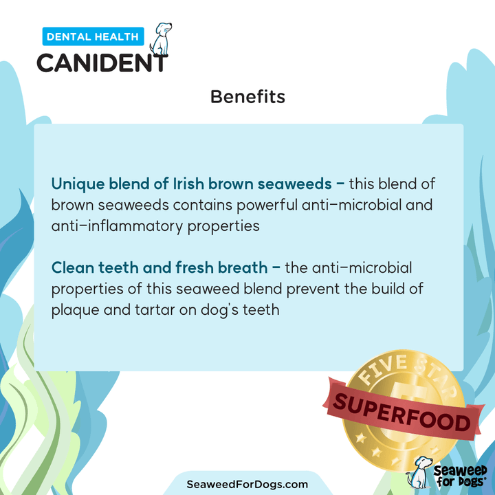 Canident - Clean Dogs Teeth (150 gr)